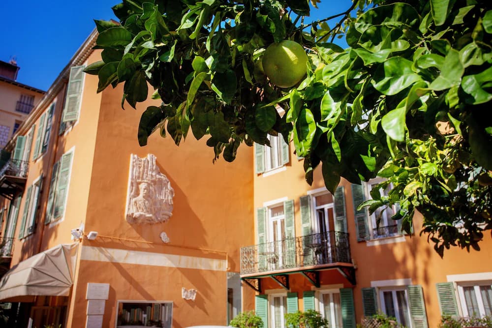 Hôtel Oasis — Niza