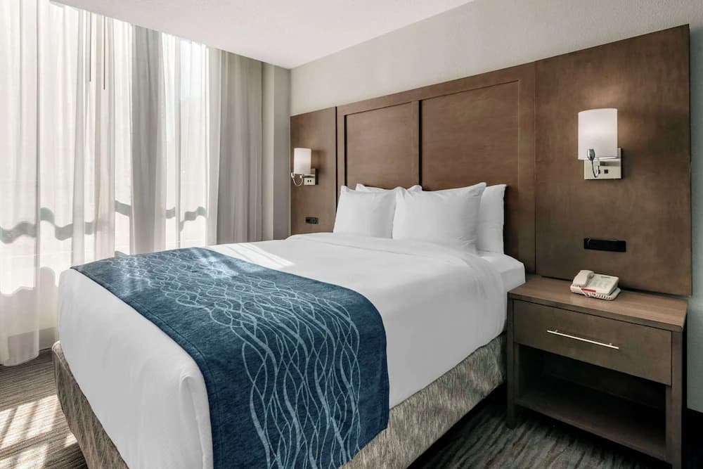 Comfort Inn & Suites Downtown Brickell-Port Of Miami — Miami
