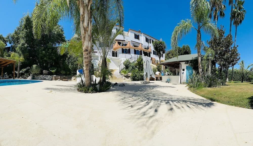 La Piña Verde — Estepona